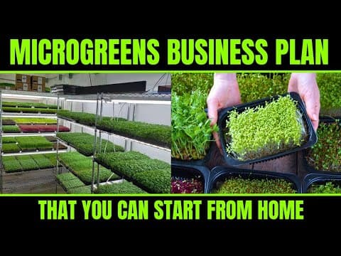 Microgreens Business Plan - That You Can Start from Home