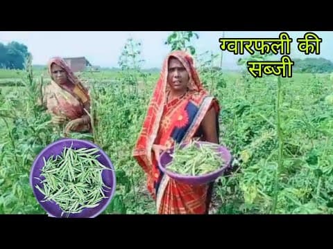 ग्वारफली की मसालेदार सब्जी रेसिपी | Gawar Phali Ki  SabziCluster beans fried Recipe