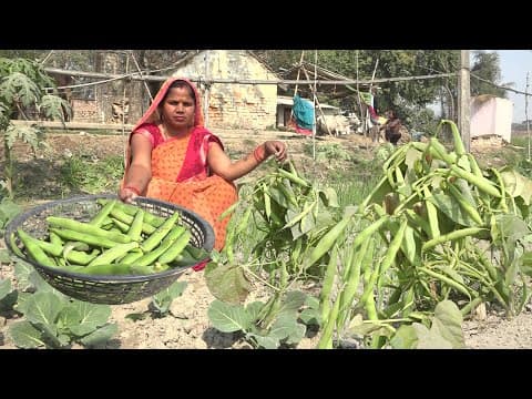 राजमा आलू की सब्जी एक बार इस तरह बनाकर देखे तो उंगलियाँ चाटते रह जायेंगे Rajma Aloo ki sabji Recipe