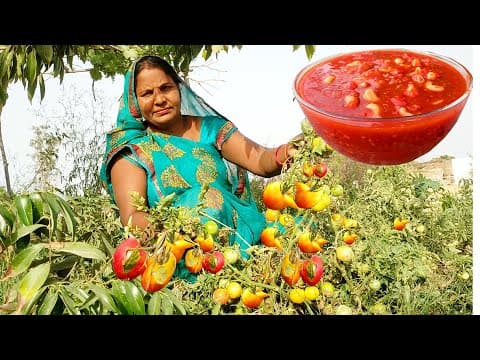 टमाटर की खट्टीमीठी चटपटी चटनी खानेका स्वाद 100गुना बढ़ादे बिना भूखके भी 4रोटी खाएँगे| Tomato Chutney