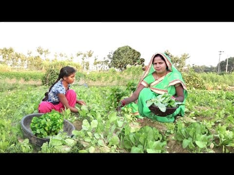 पालक की ऐसी रेसिपी की कड़ाही चाट चाट के खाएंगे PALAK KOFTA CURRY RECIPE Spinach kofta Curry Recipe
